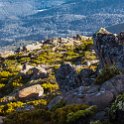 AUS TAS MountWellington 2015JAN24 017 : 2015, 2015 - Tasmanian Travels, Australia, Date, January, Month, Mount Wellington, Places, TAS, Trips, Year